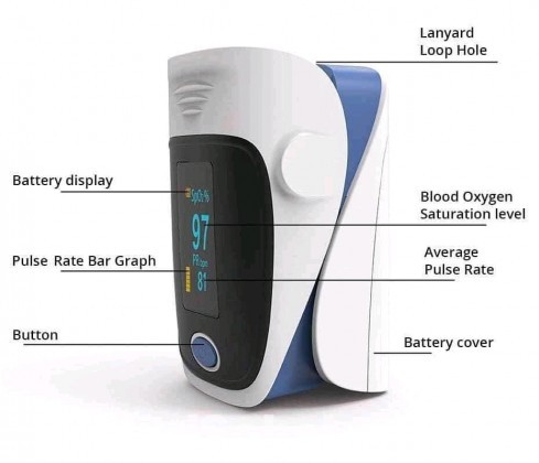 Pulse oximeter